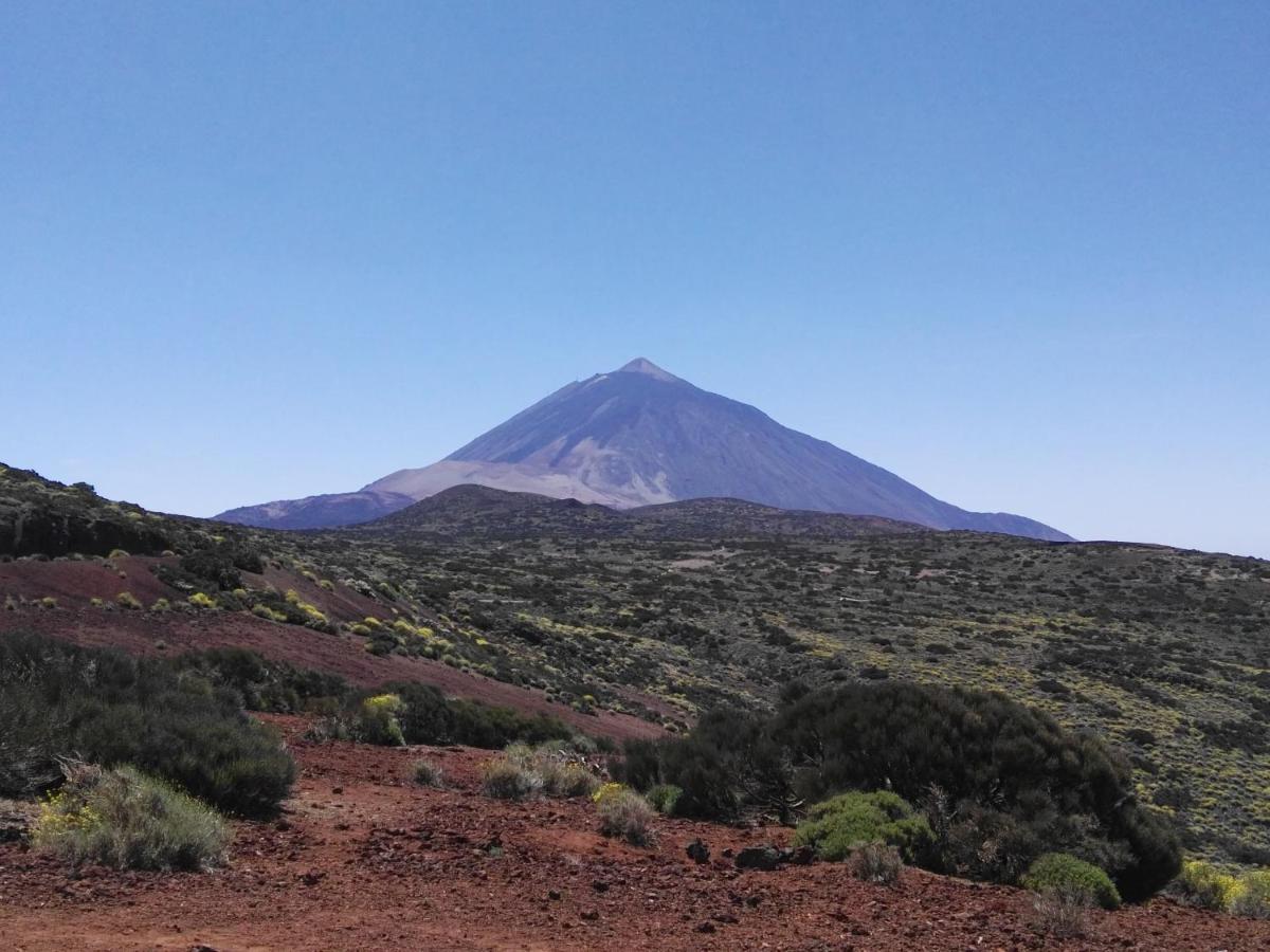 Los Diamantes Komfort Los Cristianos  Bagian luar foto